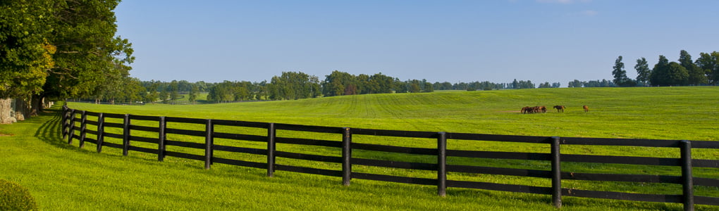 Green pastures of  horse farms