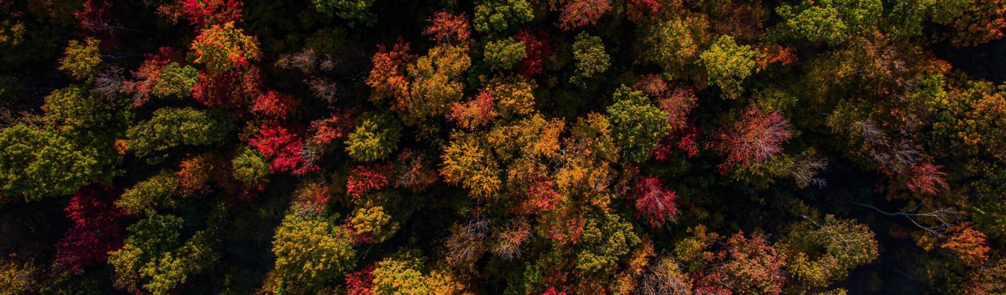 Listings Maryland Land Advisors