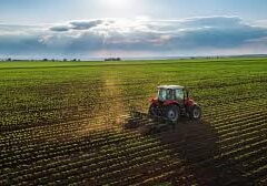 agriculture