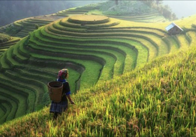 landcharacteristics