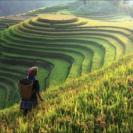 landcharacteristics